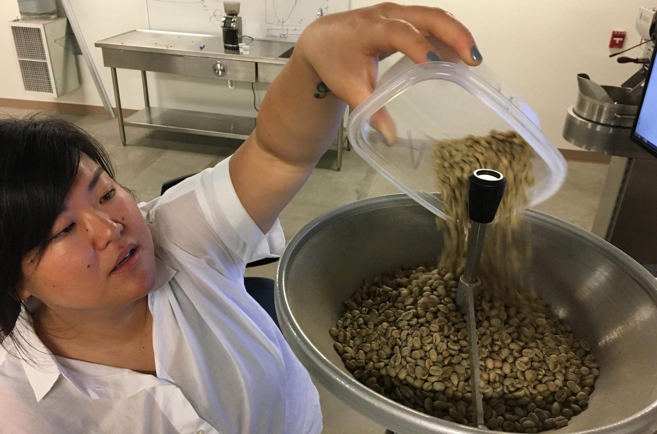 uc davis coffee center green coffee roasting