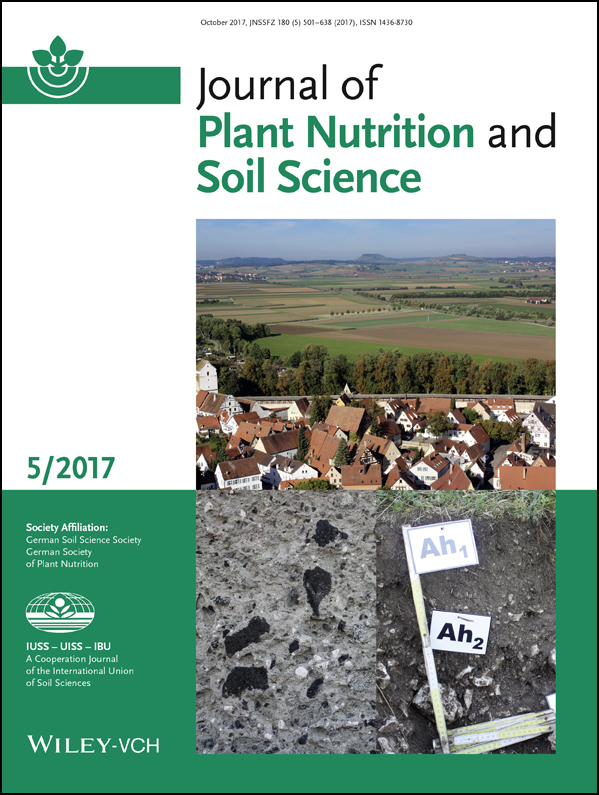 Coffee response to nitrogen and soil water content during the early growth stage