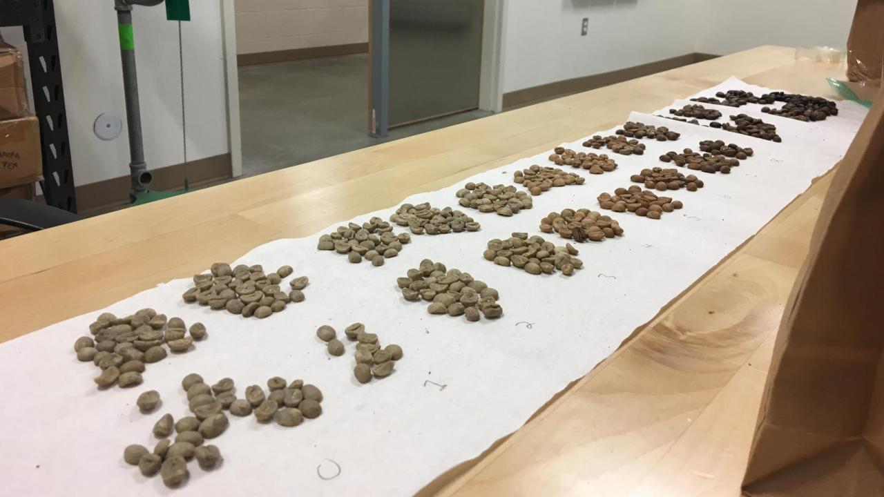 uc davis coffee center first roast 2019 2020