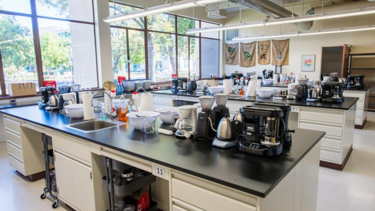 Undergraduate Coffee Lab