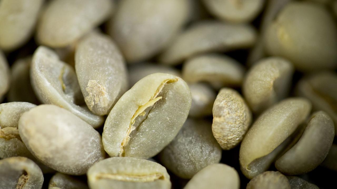 Green coffee beans