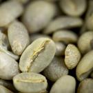 Green coffee beans