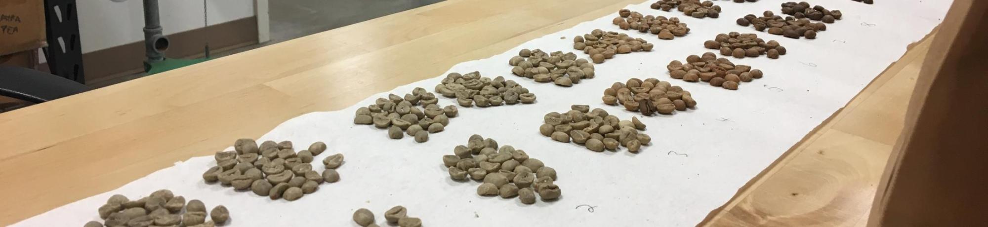 uc davis coffee center faculty research