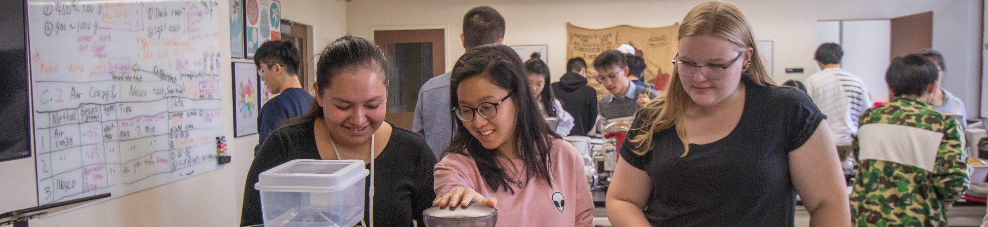uc davis coffee center undergraduate education